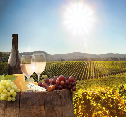 Wine tours - Nice Life